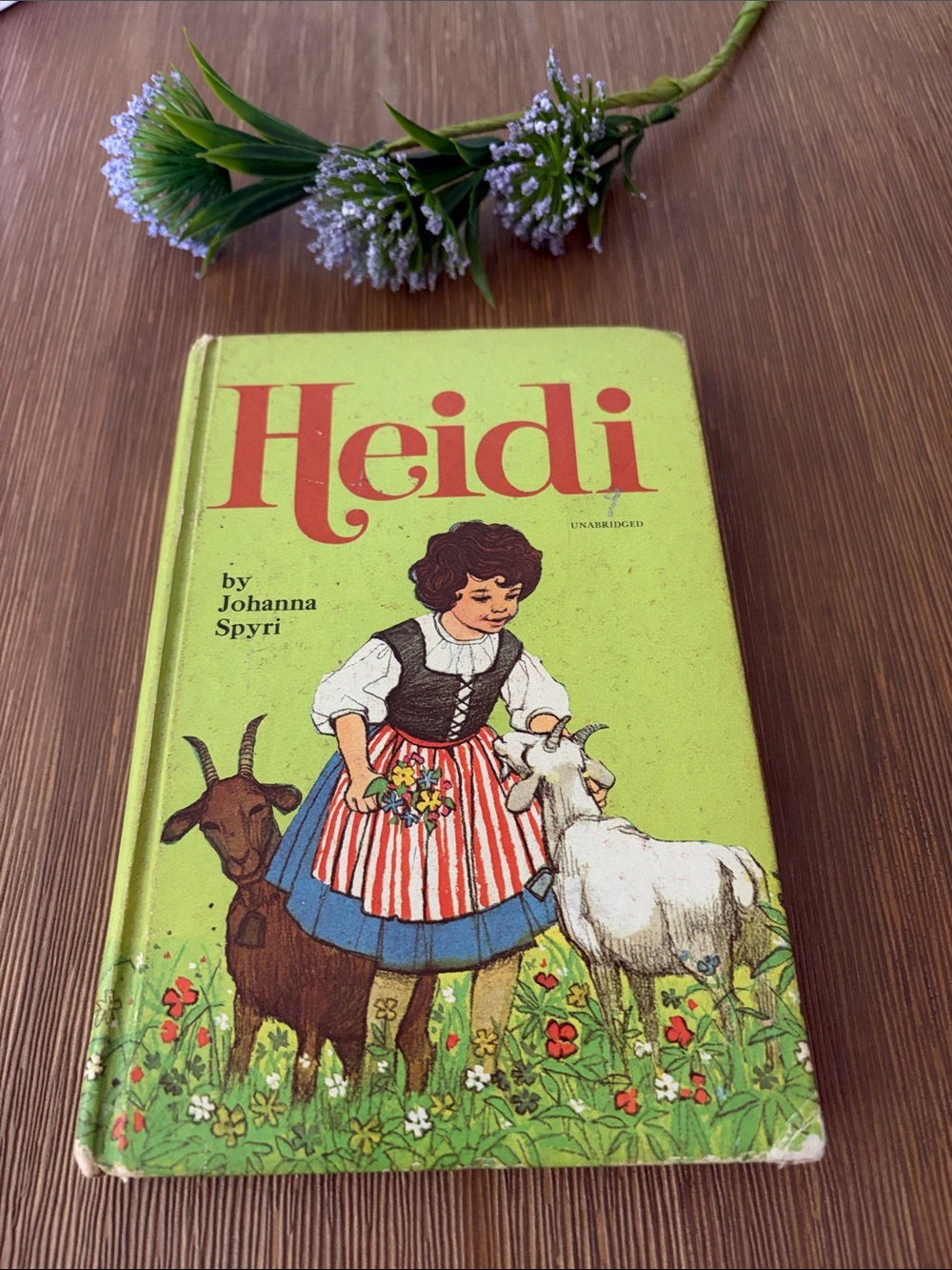 Vintage Heidi Classic Children Novel 1970 Printed Edition